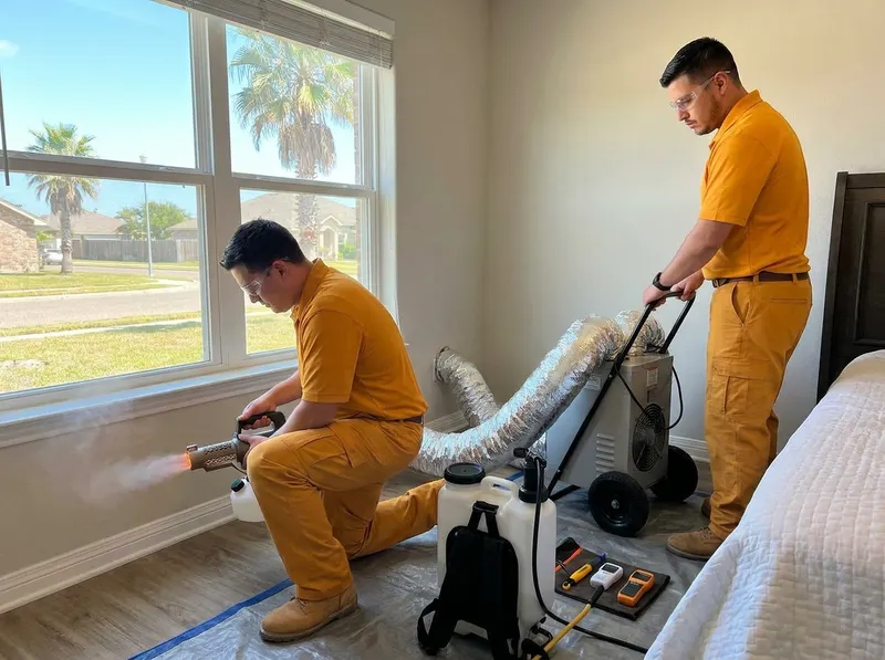 Thermal & Residual Bed Bug Remediation in Corpus Christi, TX